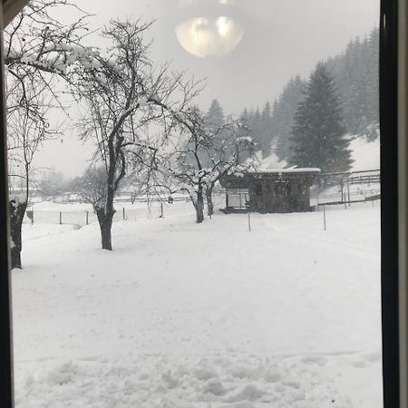 Shelest Vody Hotel Oroszmokra Kültér fotó